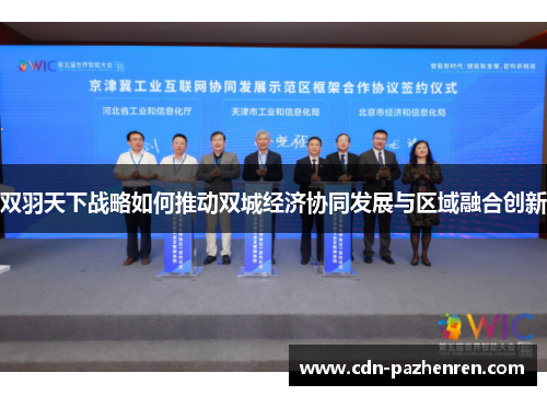 双羽天下战略如何推动双城经济协同发展与区域融合创新