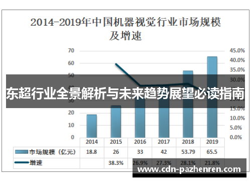 东超行业全景解析与未来趋势展望必读指南
