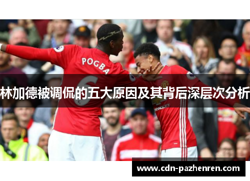 林加德被调侃的五大原因及其背后深层次分析 林加德被调侃的五大原因及其背后深层次分析