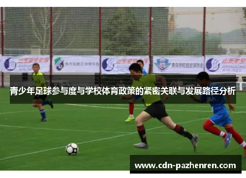 青少年足球参与度与学校体育政策的紧密关联与发展路径分析